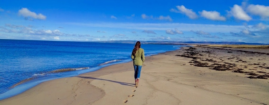 big island beach  walk.jpg